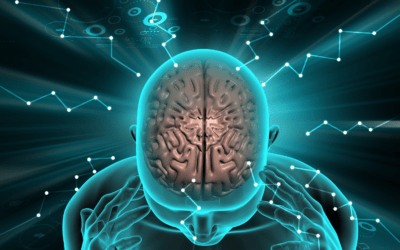 What is Neuro-Performance Training for Business?